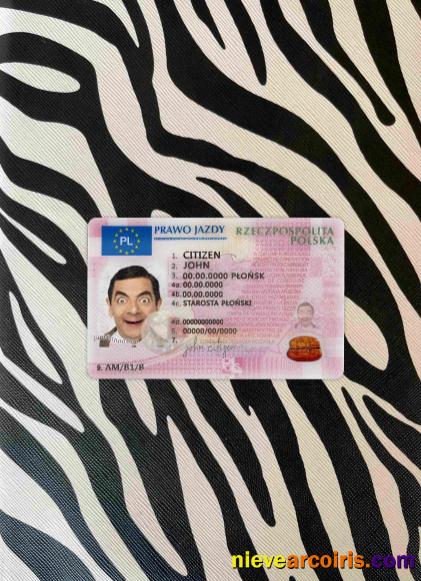 Poland driving license 2019 - present photolook